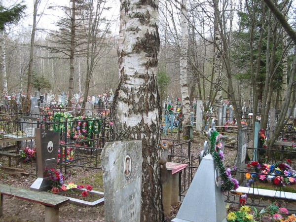 Кладбище Костромы