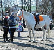 Катание на лошадях в центре Костромы